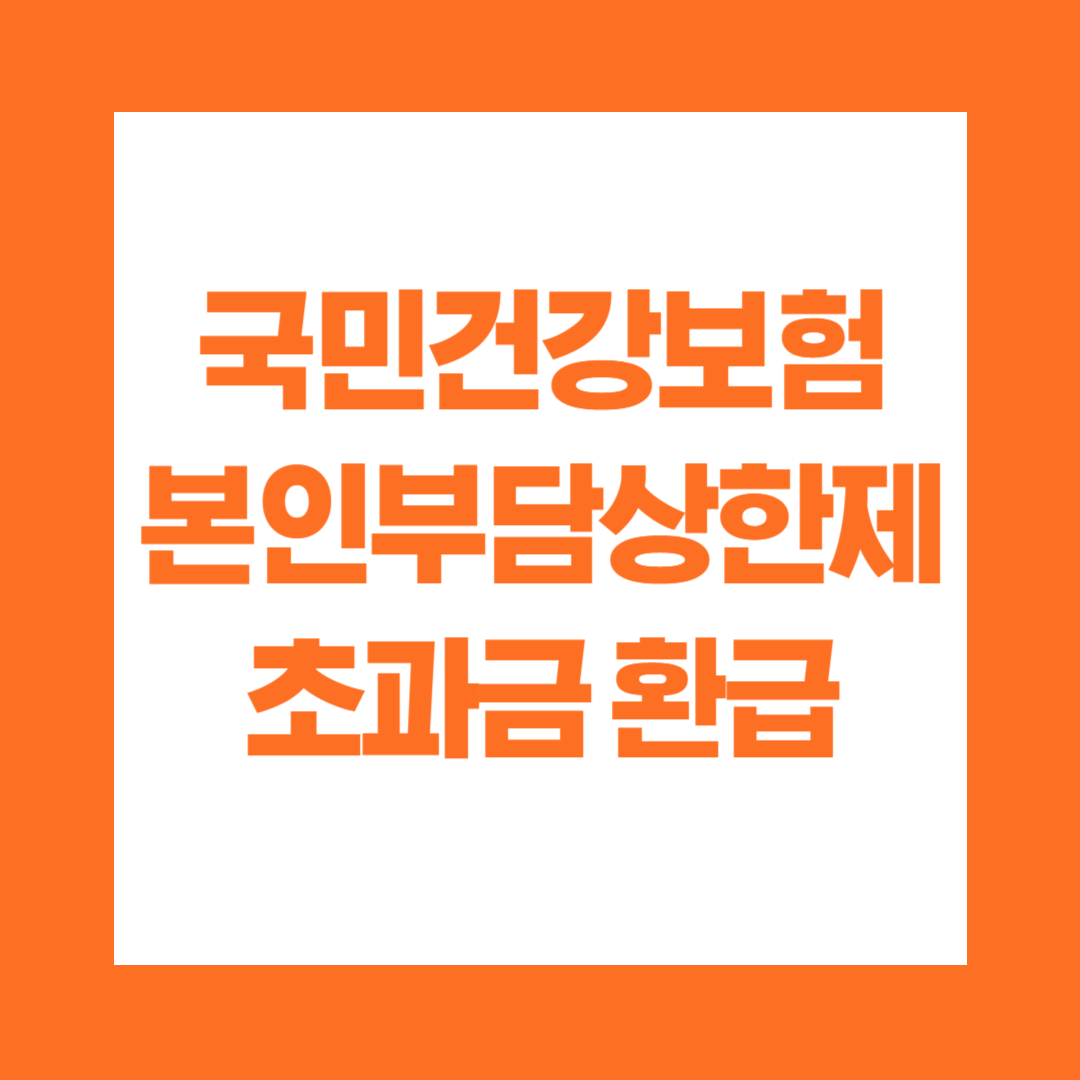 국민건강보험 본인부담상한제 초과금 환급