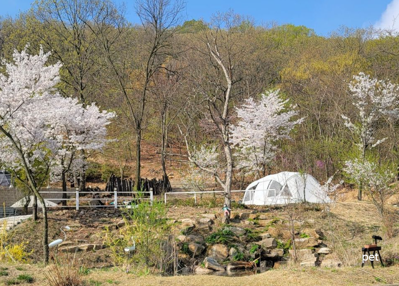 경기-인천-아르보리아-사르데냐-캠핑장-예약-방법-애견-동반-가격-주소-시간-후기