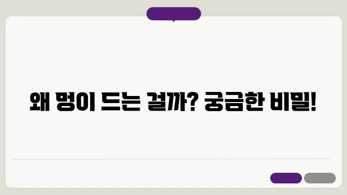 멍드는이유
