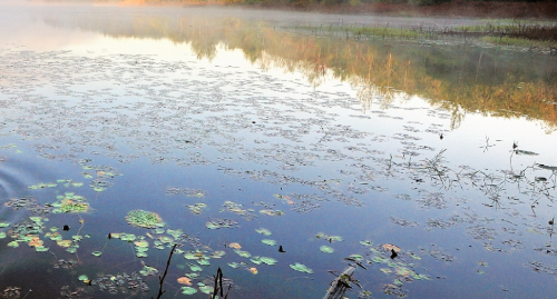 운곡람사르습지 저수지
