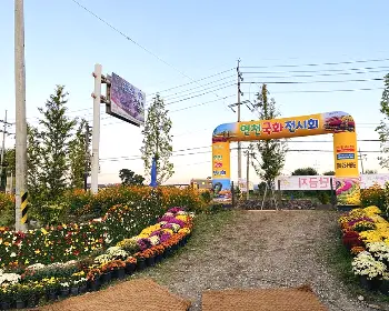 연천 국화축제_3