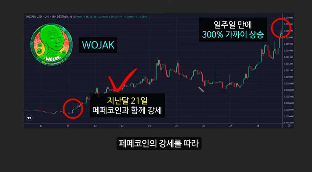 급등할 솔라나 밈코인 캣인어독스월드(MEW), 도지코인, 플로키, 벤도그, 마더, 그레이머, 워젝, 네버, 두코, 봉크