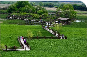 7경-안산갈대습지