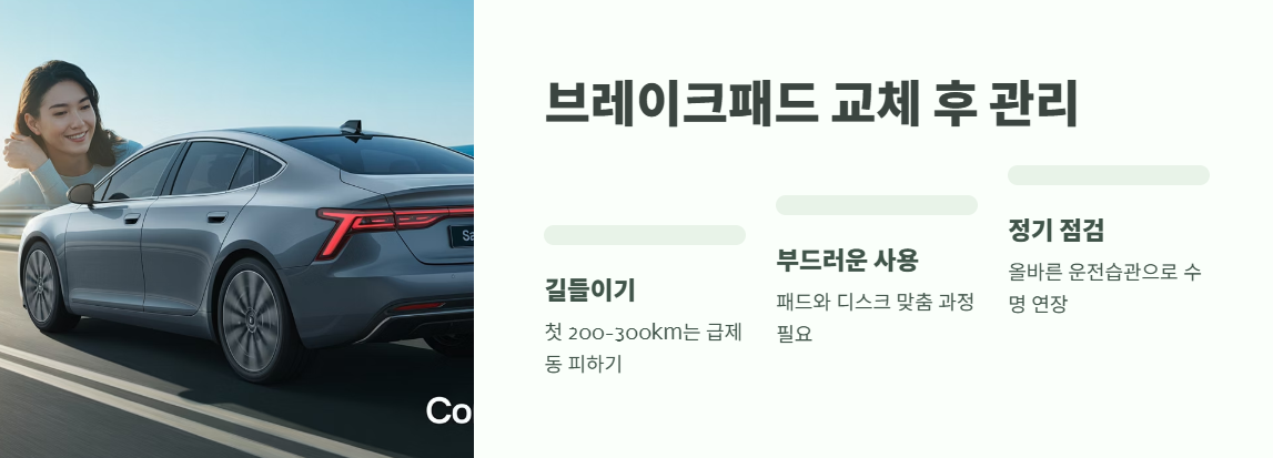 브레이크패드 교체비용 바로 확인 8