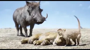 품바와티몬과 만나는 심바