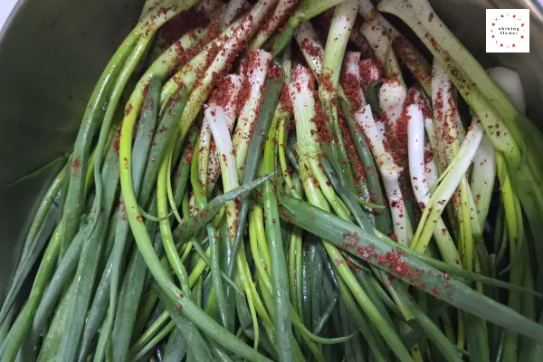 파김치-뿌리쪽에 고춧가루 뿌려두기