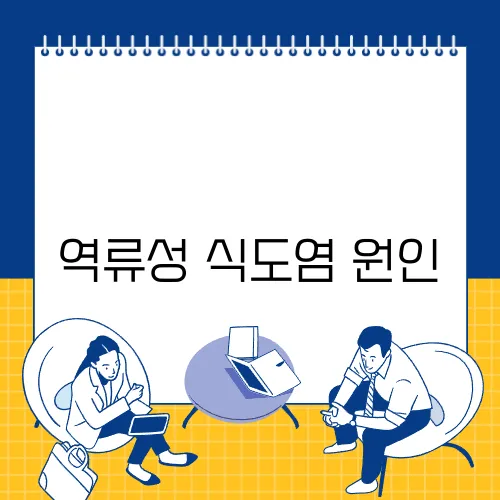 역류성 식도염 원인