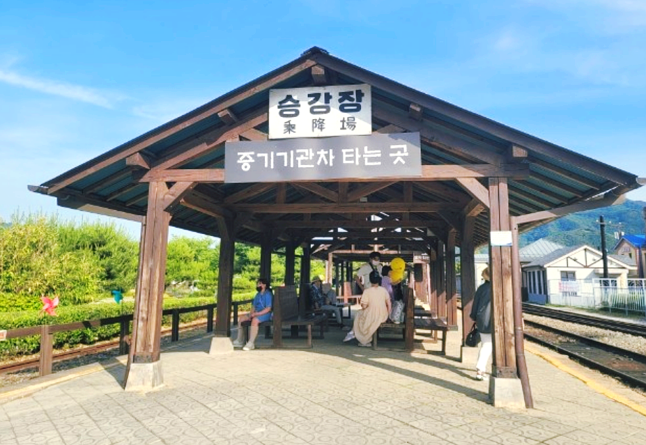 곡성 세계장미축체