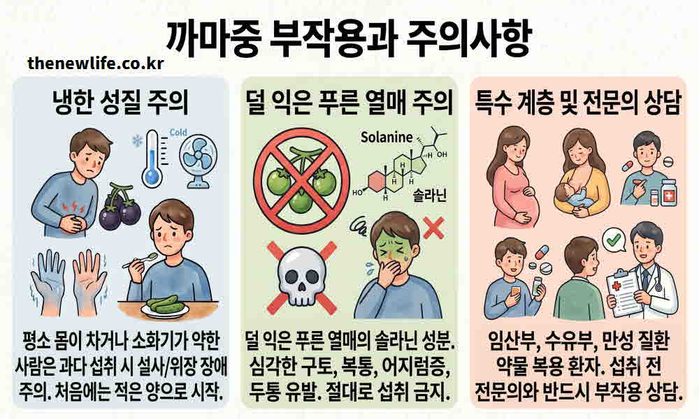 까마중 열매 효능 부작용