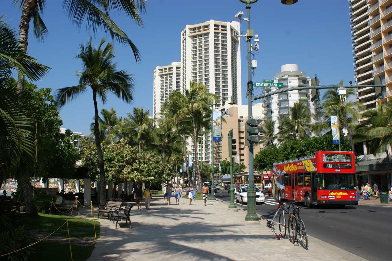 Waikiki Alohabus
