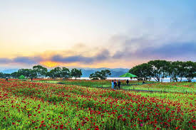 서울 근교 당일치기 커플 여행지