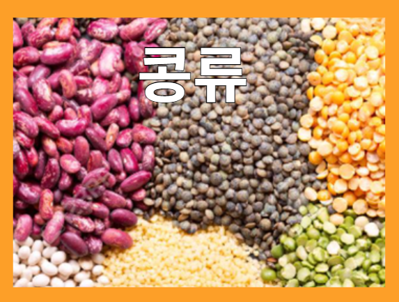 비타민 B군이 풍부한 식품 - 콩류
