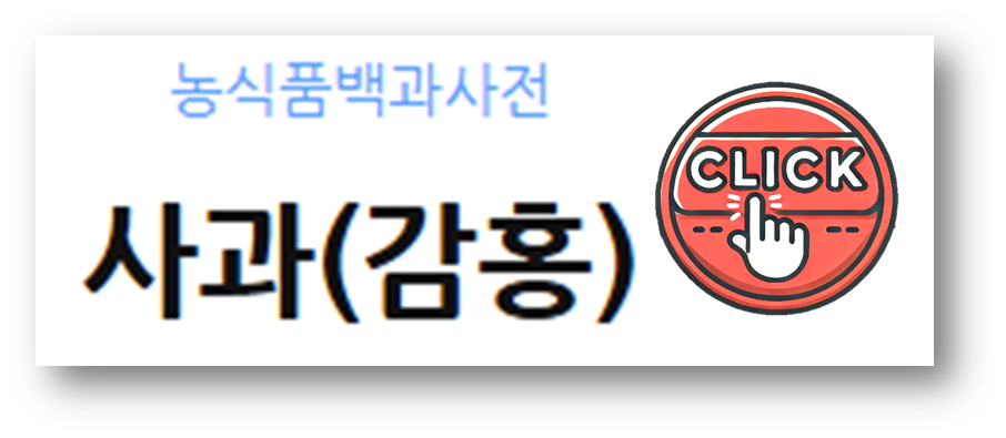 감홍사과