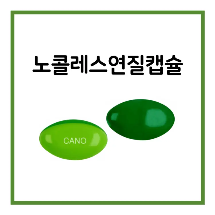 노콜레스연질캡슐-이미지