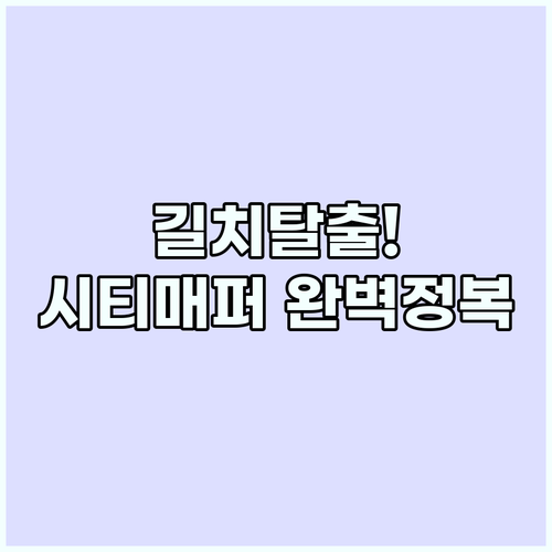 유럽 미국 대도시 여행 필수 앱 시티..