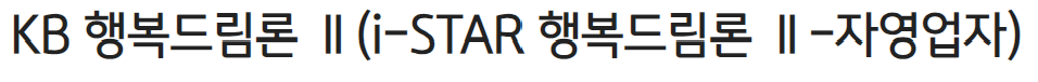 국민은행 자영업자 프리랜서 대출