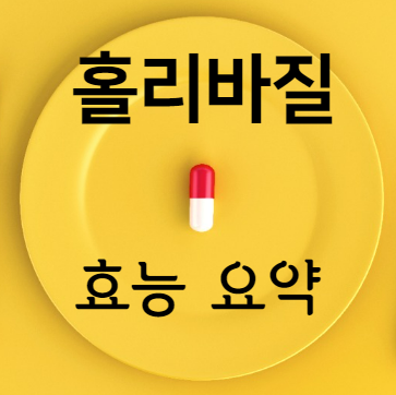 홀리바질 효능 요약