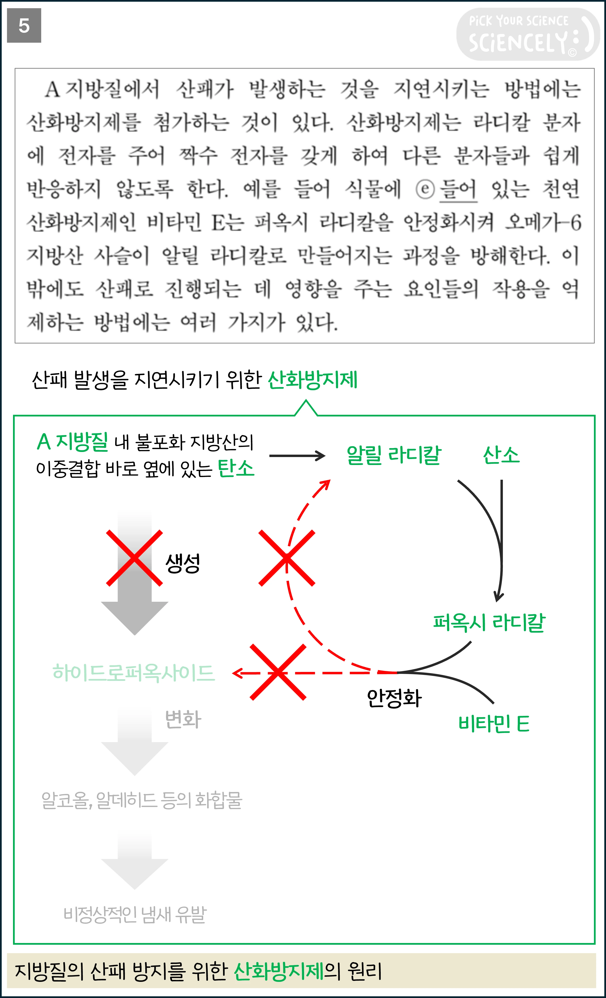 국어 독서 과학기술, 국어 비문학 과학기술, 16학년도 고3 9평 A형 Q19-21, 지방질의 산패, A 지방질에서 산패가 발생하는 것을 지연시키는 방법에는 산화방지제를 첨가하는 것이 있다.