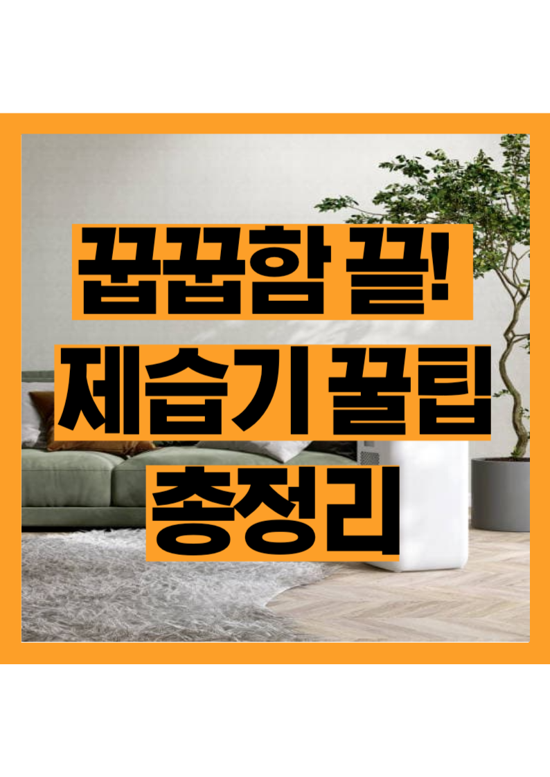 장마철 꿉꿉함 이제 그만! 제습기 추천과 꿀팁 총정리