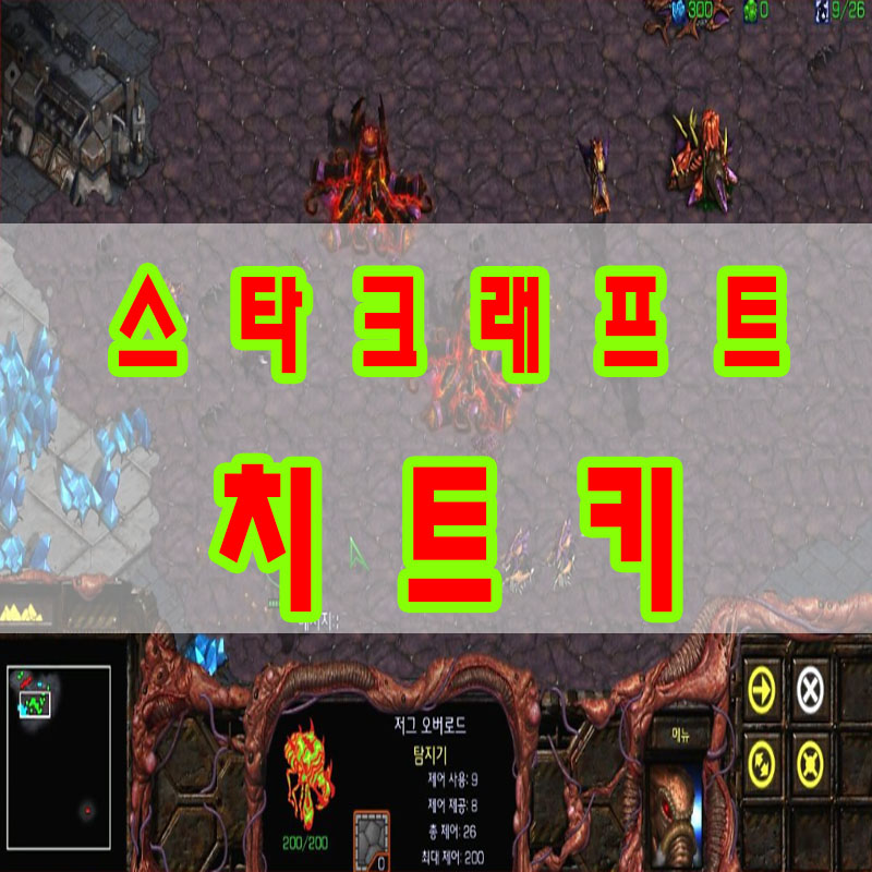 스타크래프트