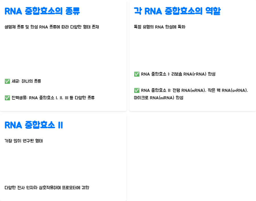 분자생물학: RNA 중합효소의 비밀, 밝혀볼까요? - RNA 중합효소의 다양한 종류와 역할