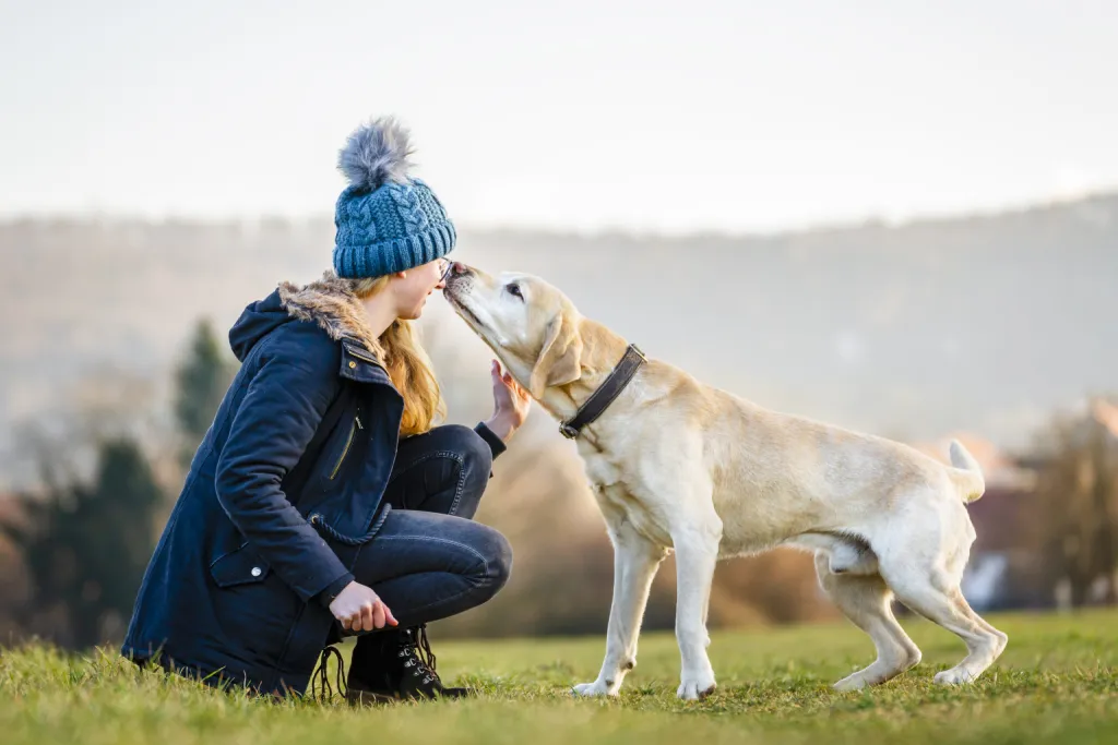 &amp;quot;강아지가
