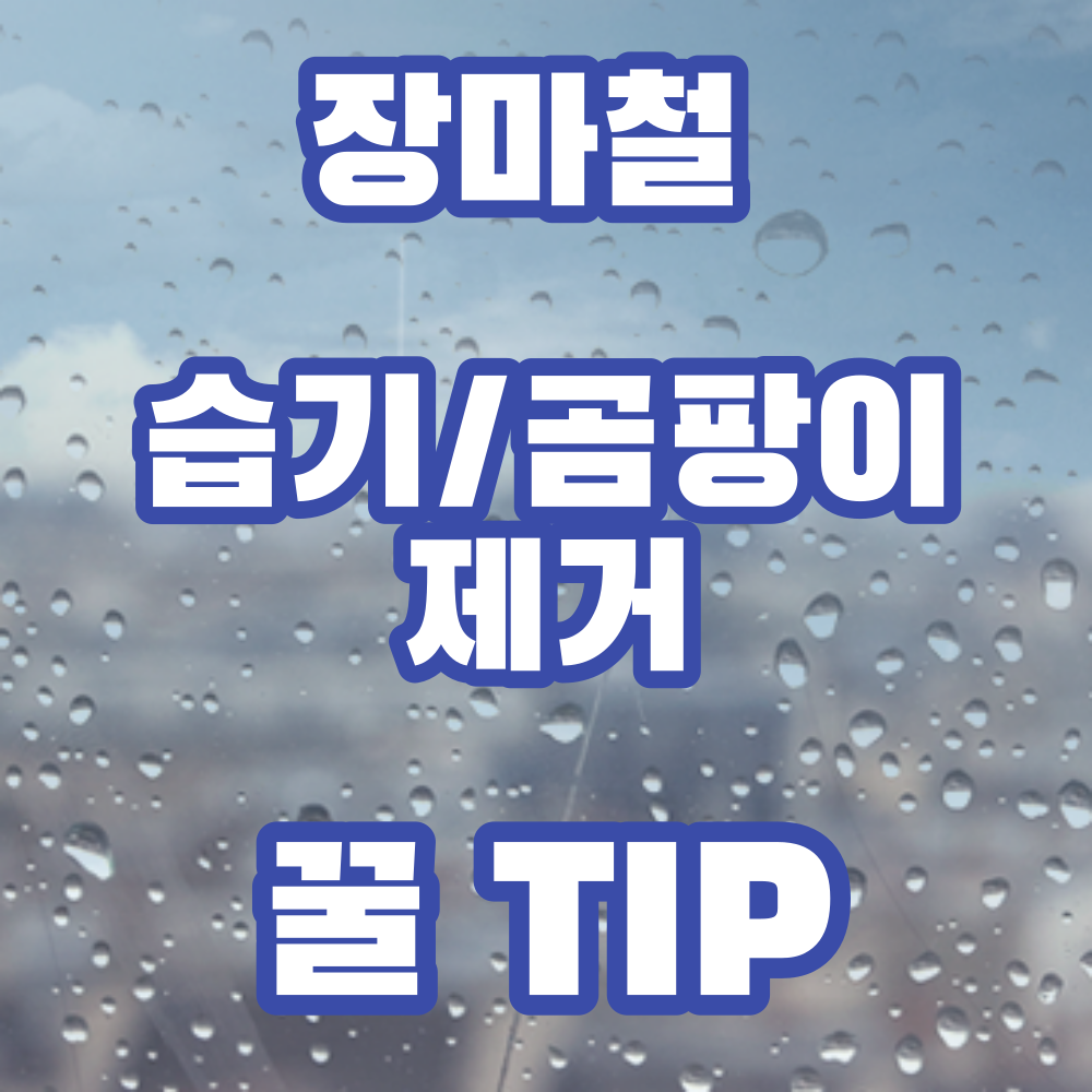 장마철-습기-곰팡이-제거-방법