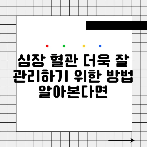 심장 혈관 더욱 잘 관리하기 위한 방법 알아본다면