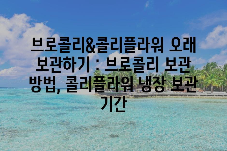 샘플 (72)