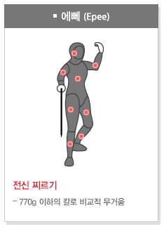 팬싱 종목(이미지 대한펜싱협회)