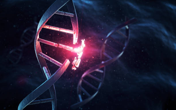 홍역 바이러스 변이와 백신 대응성