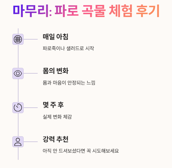 마무리 : 파로곡물 체험 후기