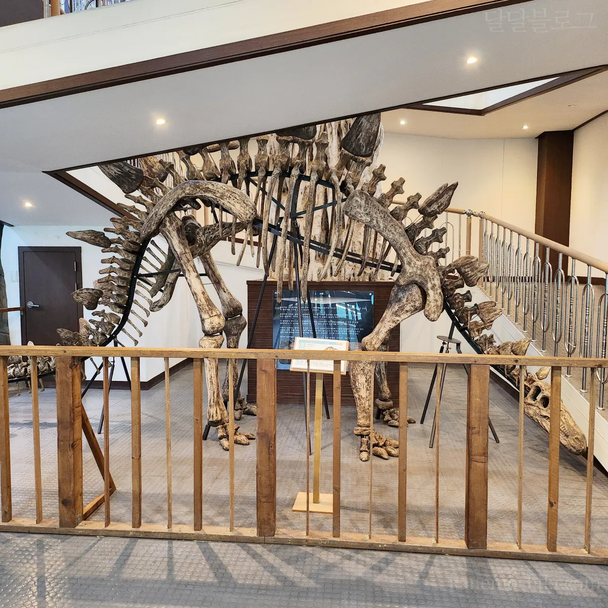 덕소-자연사박물관