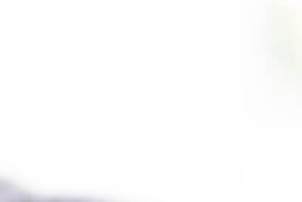 뇌 건강 영양제