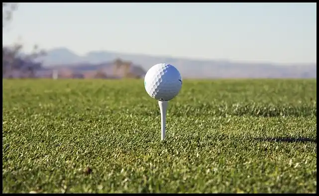 파크골프 용어 정리 (+ 해설 )