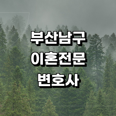 부산 남구 이혼 변호사