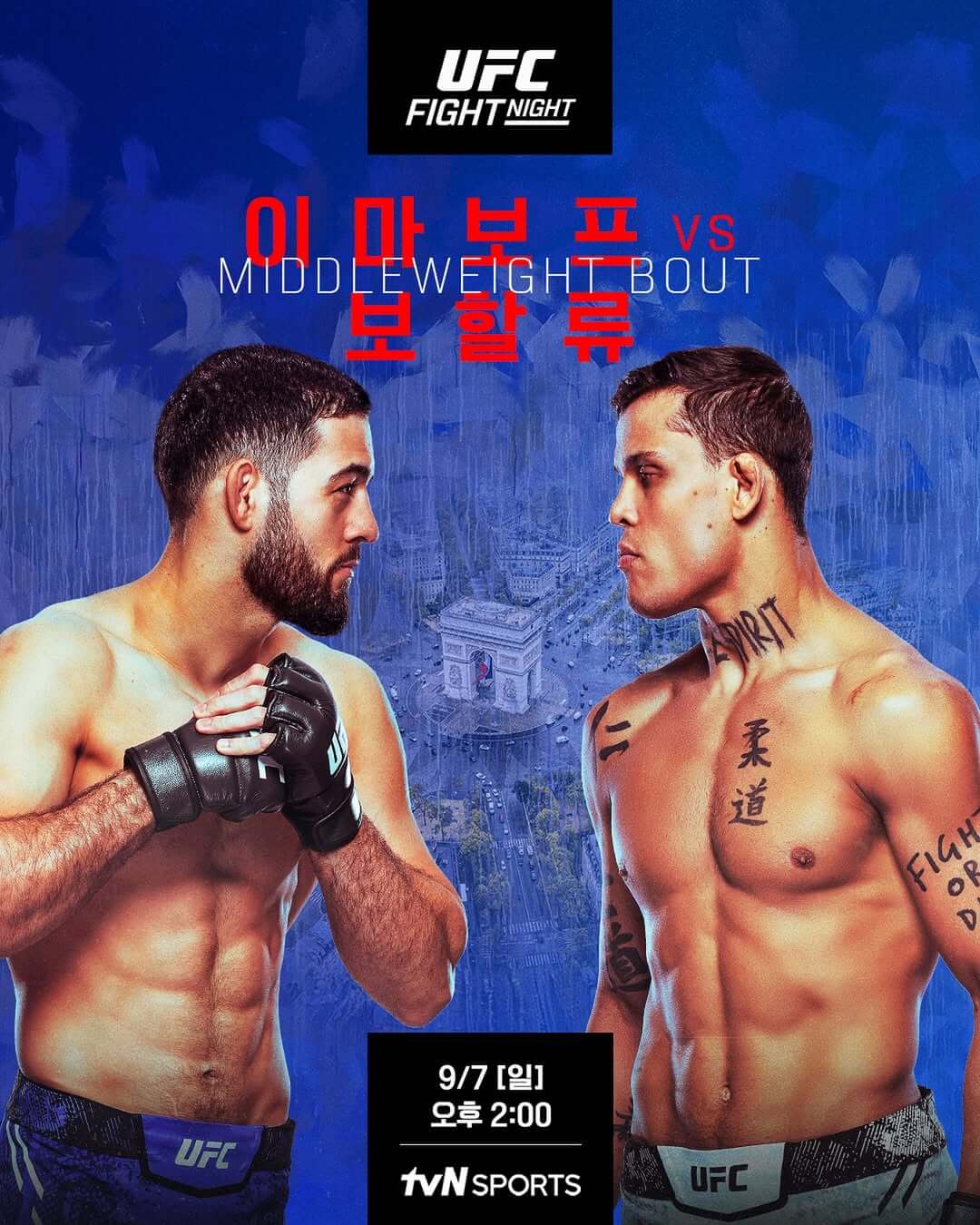 UFC Fight Night 이마보프 vs 보할류