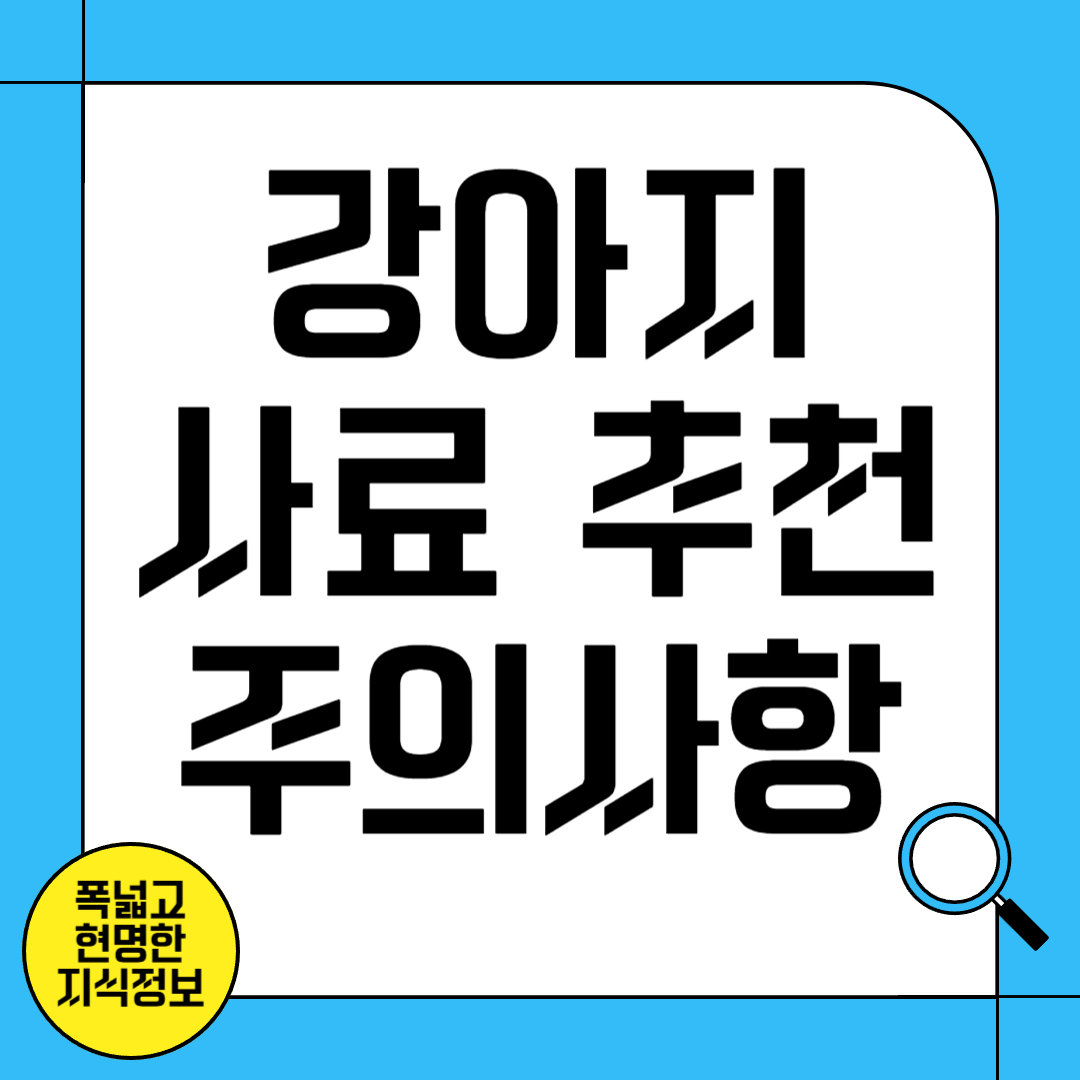 강아지 사료 추천 및 주의사항