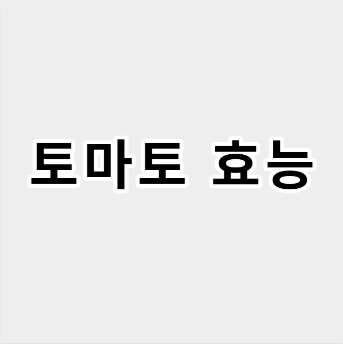 토마토효능