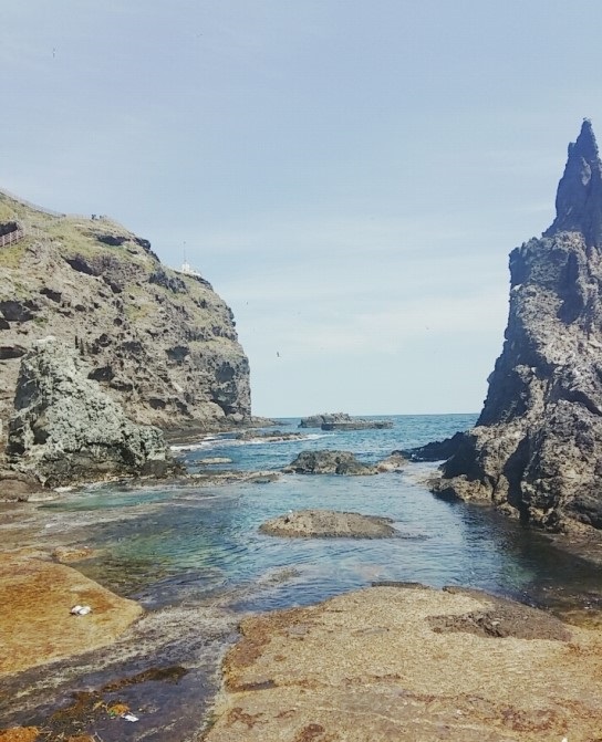 입도 한 독도