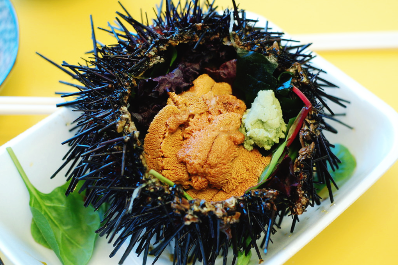 성게-껍질-안에-들어-있는-와사비를-곁들인-성게알