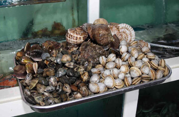 보령머드축제 대천해수욕장 즐기기_5