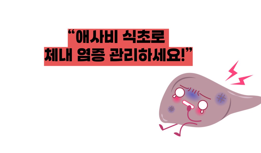 애사비 식초 효능