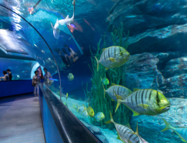 부산 가 볼만한 곳 추천 Best7