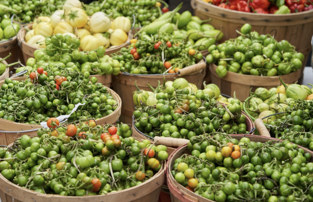 농산물 보관법: 신선도 유지를 위한 팁과 요령