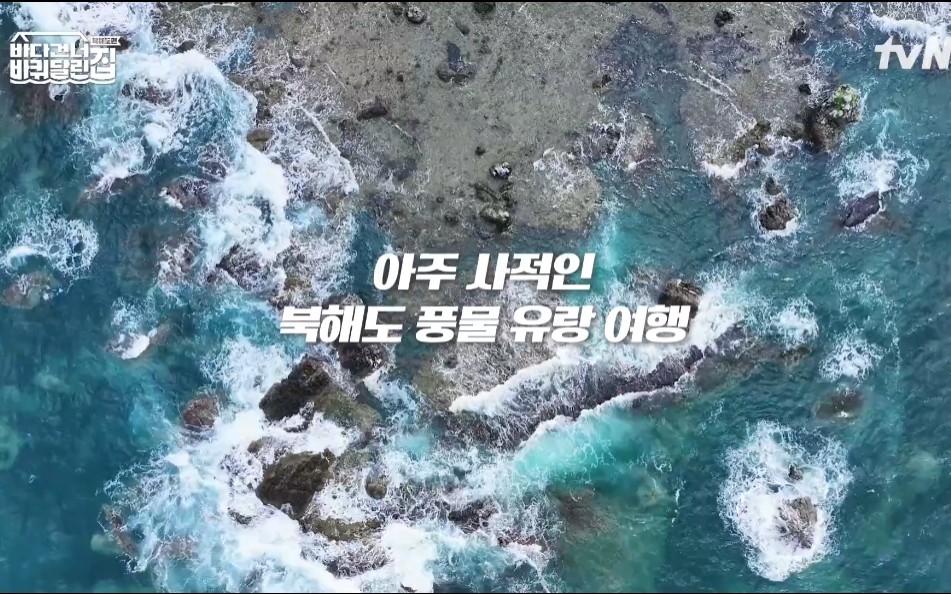 바퀴 달린 집 5