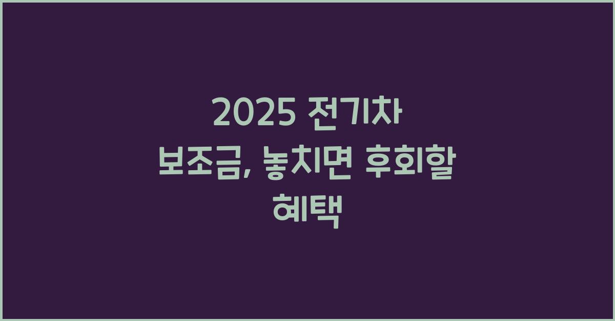 2025 전기차 보조금