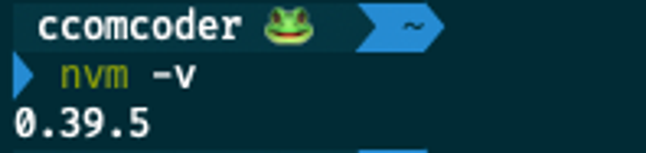 nvm -v 명령어 실행 후 설치된 nvm 버전을 출력한 화면