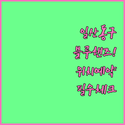 일산동구 현대자동차 블루핸즈 위치 예..