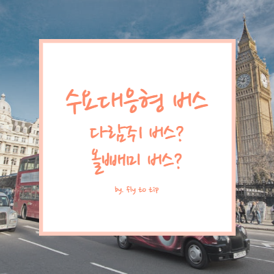 수요대응형 버스(다람쥐 버스와 올빼미 버스)